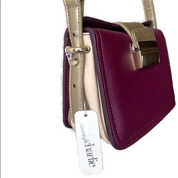 Charming Charlie Color Block Shoulder Bag